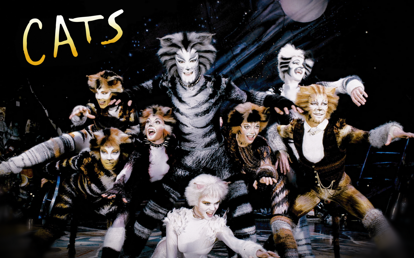 Curiosidades | Conheça a história do musical ‘Cats’